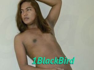 1BlackBird