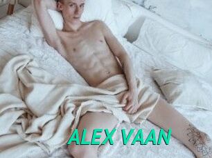 ALEX_VAAN
