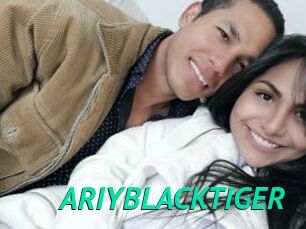 ARIYBLACKTIGER