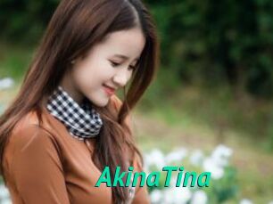 AkinaTina