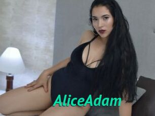 AliceAdam