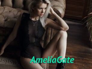 AmeliaGate