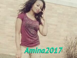 Amina2017