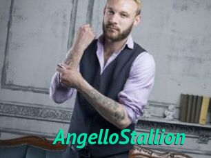 AngelloStallion