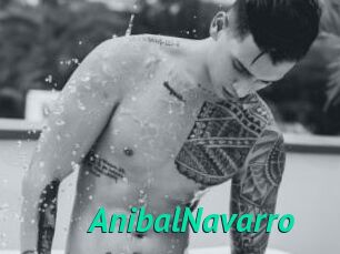 AnibalNavarro
