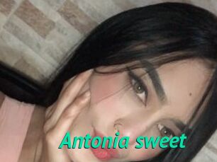 Antonia_sweet