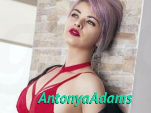 AntonyaAdams