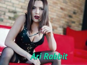 Ari_Rabbit