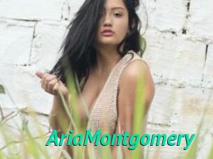 AriaMontgomery