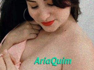 AriaQuim