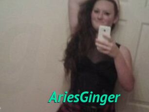 AriesGinger