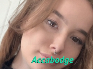 Accabodge