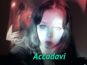 Accadavi