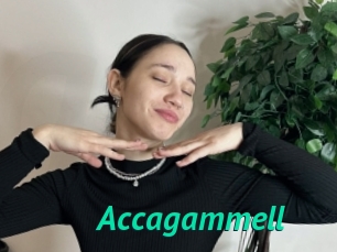 Accagammell