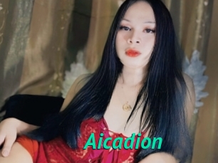 Aicadion