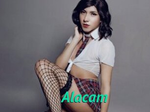 Alacam