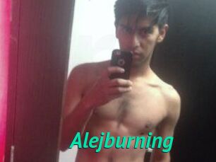 Alejburning