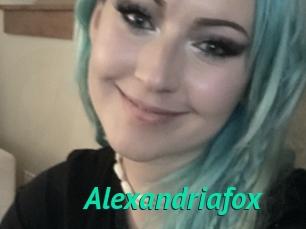 Alexandriafox