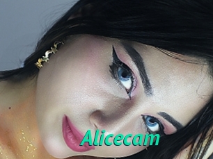 Alicecam