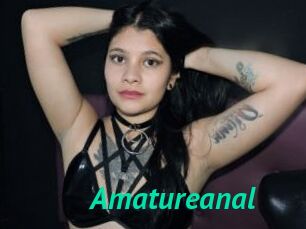 Amatureanal