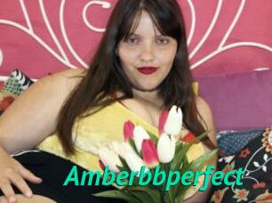 Amberbbperfect
