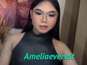 Ameliaeverest