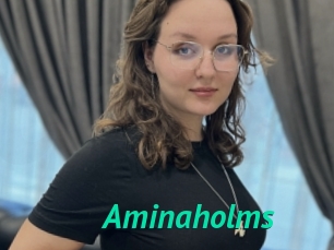 Aminaholms