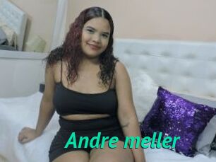 Andre_meller