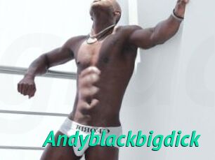 Andyblackbigdick