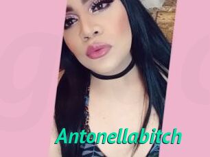 Antonellabitch