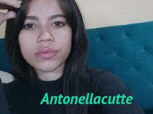 Antonellacutte