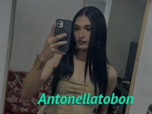 Antonellatobon