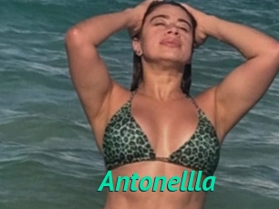 Antonellla