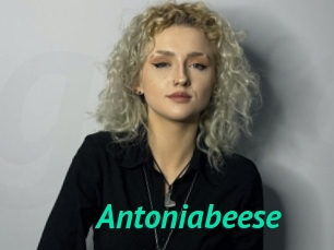 Antoniabeese