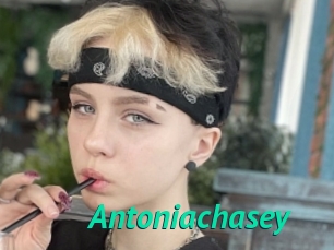 Antoniachasey