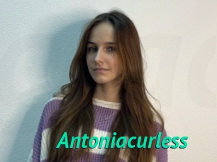 Antoniacurless