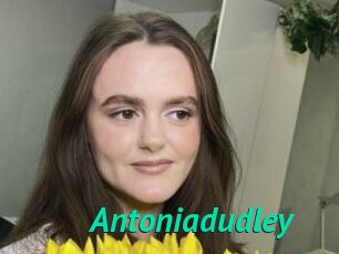Antoniadudley