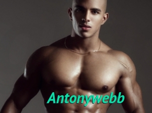 Antonywebb