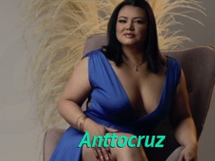 Anttocruz