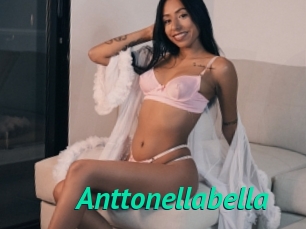Anttonellabella