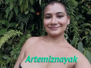 Artemiznayak