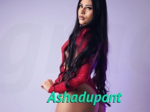 Ashadupont