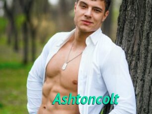 Ashtoncolt