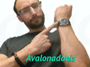Avalonadonis