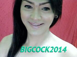 BIGCOCK2014
