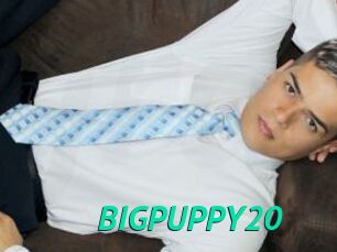 BIGPUPPY20
