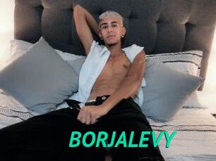 BORJALEVY