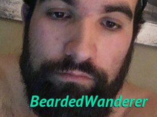 BeardedWanderer