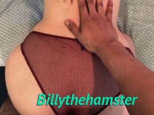 Billythehamster