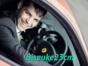 Bisnuke23cm